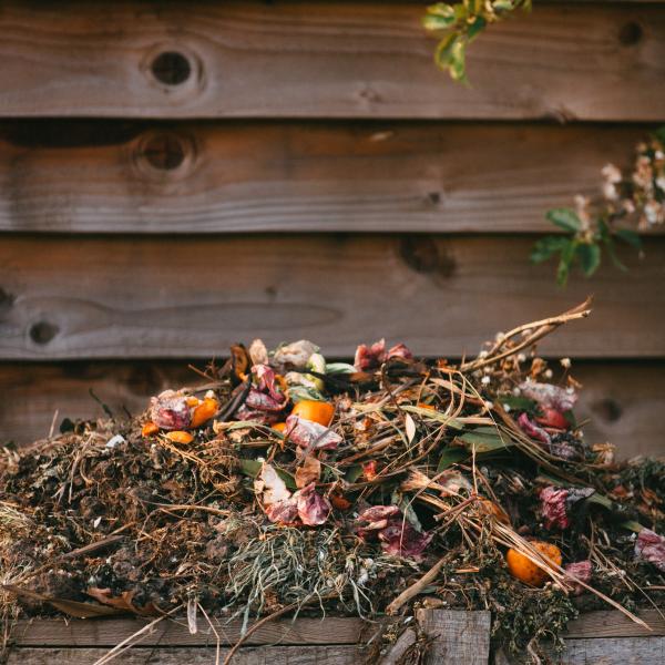 Kompostiranjem do sretnih biljaka i manje otpada